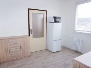 Prodej bytu 1+1, Ústí nad Labem - Všebořice, Zahradní, 33 m2