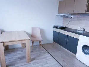 Prodej bytu 1+1, Ústí nad Labem - Všebořice, Zahradní, 33 m2