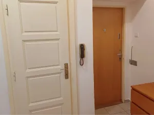 Prodej bytu 1+1, Brno - Ponava, Kartouzská, 43 m2