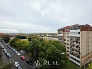 Prodej bytu 3+1, Most, Albrechtická, 68 m2