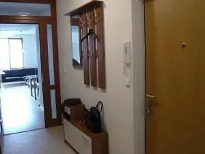 Prodej bytu 2+kk, Brno - Štýřice, Vinohrady, 55 m2
