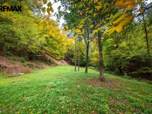 Prodej pozemku pro bydlení, Všemyslice, 4931 m2