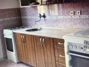 Pronájem bytu 1+1, Dubí, Krušnohorská, 50 m2