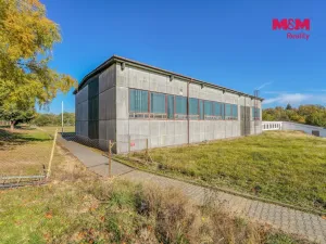 Prodej obchodního prostoru, Přimda, Severní, 30198 m2