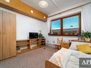 Prodej obchodního prostoru, Veselí nad Moravou, Zarazická, 320 m2