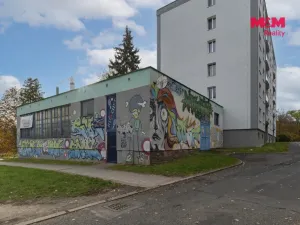Prodej obchodního prostoru, Cheb, Lesní, 130 m2