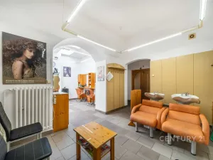 Pronájem obchodního prostoru, Plzeň, Bezručova, 55 m2