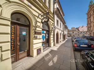 Pronájem obchodního prostoru, Plzeň, Bezručova, 55 m2
