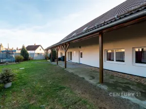 Prodej rodinného domu, Mladý Smolivec, 300 m2