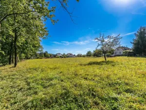 Prodej pozemku pro bydlení, Ždírec, 2574 m2