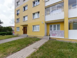 Pronájem kanceláře, Most, Obránců míru, 68 m2