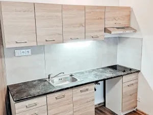 Pronájem bytu 1+kk, Most, U Věžových domů, 21 m2