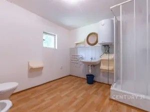 Prodej obchodního prostoru, Lom, Podkrušnohorská, 273 m2