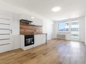 Pronájem bytu 2+kk, Most, Brněnská, 35 m2