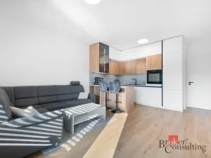 Pronájem bytu 2+kk, Brno - Staré Brno, Nové sady, 68 m2