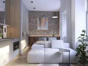 Prodej bytu 1+kk, České Budějovice - České Budějovice 5, Ledenická, 30 m2