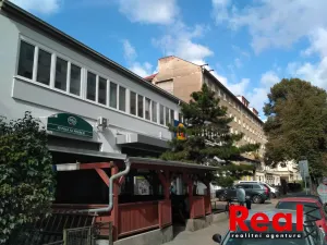 Pronájem kanceláře, Brno - Veveří, Bayerova, 19 m2