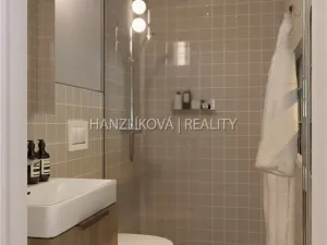 Prodej bytu 1+kk, České Budějovice - České Budějovice 5, Ledenická, 27 m2