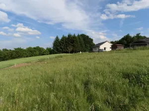 Prodej pozemku pro bydlení, Zbizuby, 1000 m2