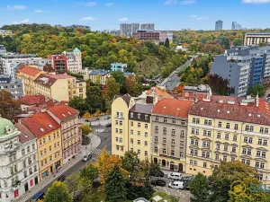 Prodej bytu 2+kk, Praha - Žižkov, Havlíčkovo náměstí, 34 m2