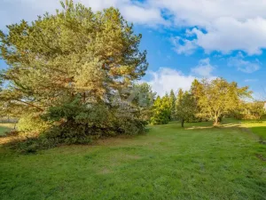 Prodej pozemku pro bydlení, Václavovice, 1516 m2