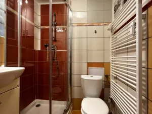 Pronájem bytu 1+1, Plzeň - Jižní Předměstí, Raisova, 30 m2
