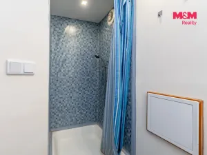 Prodej chalupy, Buřenice - Babice, 90 m2