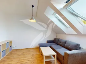 Pronájem bytu 1+kk, Plzeň, U Ježíška, 39 m2