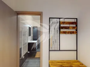 Pronájem bytu 1+kk, Plzeň, U Ježíška, 39 m2