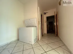 Prodej bytu 2+1, Bílina - Teplické Předměstí, Sídliště Za Chlumem, 62 m2