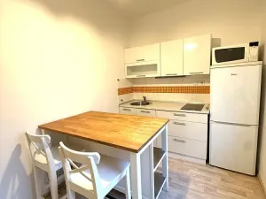 Pronájem bytu 1+1, Ostrava - Poruba, Žilinská, 32 m2