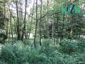 Prodej pozemku, Nejdek, 3489 m2