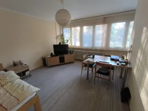 Prodej bytu 1+kk, Hradec Králové - Slezské Předměstí, Severní, 27 m2