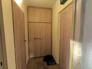 Prodej bytu 1+kk, Hradec Králové - Slezské Předměstí, Severní, 27 m2
