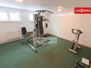 Pronájem rodinného domu, Zlín, Na Výsluní, 270 m2