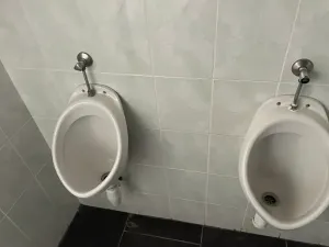 Dražba obchodního prostoru, Uničov, Litovelská, 566 m2