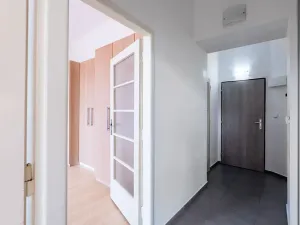 Pronájem bytu 2+kk, Praha - Nové Město, Novomlýnská, 57 m2