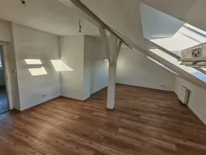 Pronájem bytu 1+1, Praha - Nové Město, Růžová, 56 m2