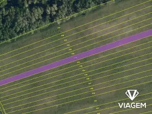 Prodej podílu pole, Přibice, 1131 m2