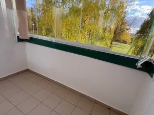 Prodej bytu 1+1, Sokolov, Švabinského, 49 m2