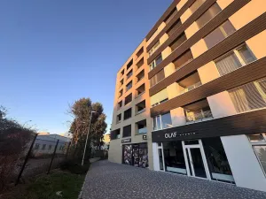 Pronájem bytu 2+kk, Praha - Holešovice, Jankovcova, 44 m2