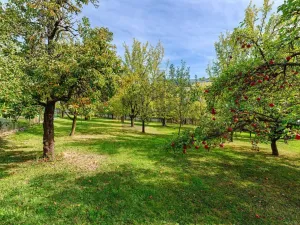 Prodej rodinného domu, Březová, 74 m2