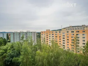 Pronájem bytu 2+1, Šumperk, Jugoslávská, 46 m2