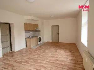 Pronájem bytu 1+1, Trutnov - Střední Předměstí, Novodvorská, 47 m2