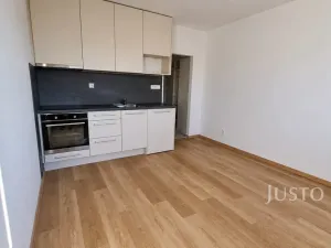 Pronájem bytu 1+kk, Písek - Budějovické Předměstí, Harantova, 20 m2