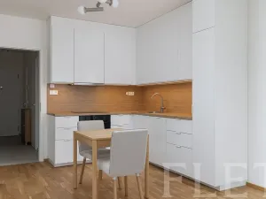 Pronájem bytu 1+kk, Praha - Karlín, Švarcova, 36 m2