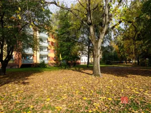 Prodej bytu 3+1, Ostrava - Hrabůvka, Provaznická, 61 m2