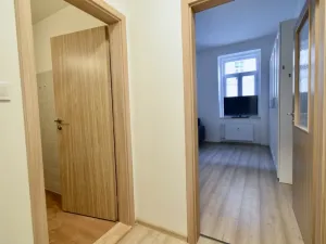 Pronájem bytu 1+kk, Brno - Zábrdovice, Vlhká, 27 m2