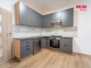 Pronájem bytu 3+kk, Plzeň - Východní Předměstí, Francouzská třída, 55 m2