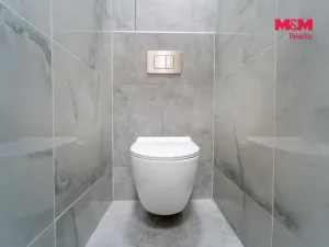 Pronájem bytu 3+kk, Plzeň - Východní Předměstí, Francouzská třída, 55 m2